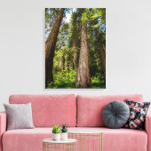 Westerse Rode Cederbomen Canvas Afdruk (Insitu (Woonkamer))