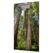 Westerse Rode Cederbomen Klembord (Links)