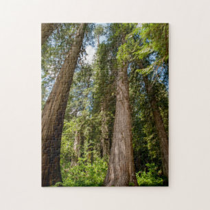 Westerse Rode Cederbomen Legpuzzel