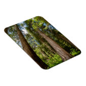 Westerse Rode Cederbomen Magneet (Rechterzijde)