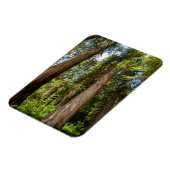 Westerse Rode Cederbomen Magneet (Linkerzijde)
