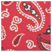 Westerse Rode Paisley Stof (Swatch)