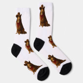 Westerse Sheltie Sokken (Rechts)
