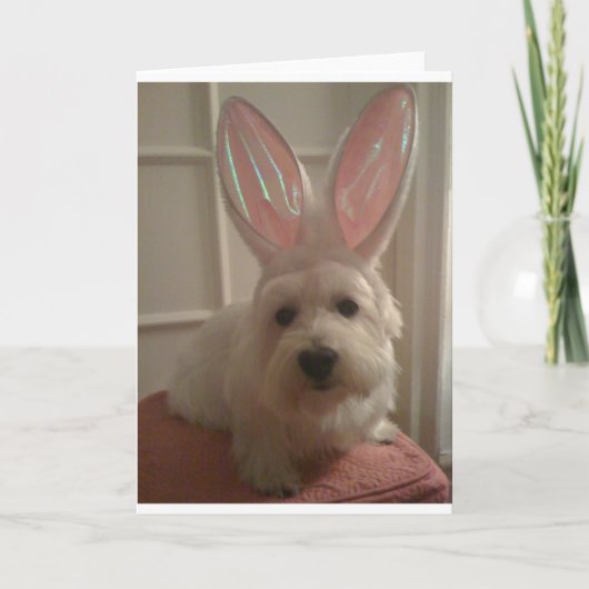 Westhighland Bunny Kaart (Voorkant)