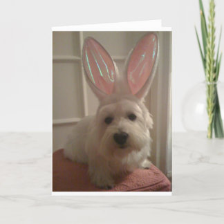 Westhighland Bunny Kaart