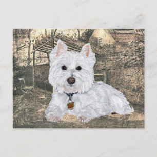 Westie-ansichtkaart Briefkaart