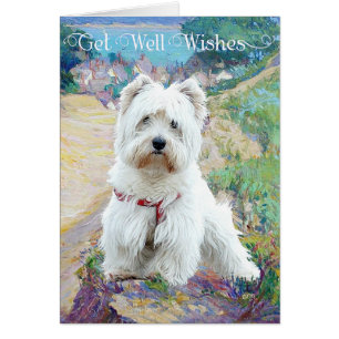 Westie au bord de la mer