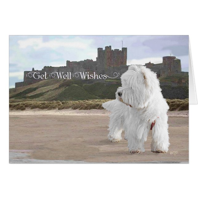 Westie bij het kasteel van Bamburgh (Voorkant Horizontaal)