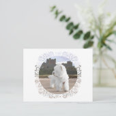 Westie bij het kasteel van Bamburgh Briefkaart (Staand voorkant)