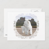 Westie bij het kasteel van Bamburgh Briefkaart (Voorkant / Achterkant)