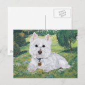 Westie-Briefkaart Briefkaart (Voorkant / Achterkant)