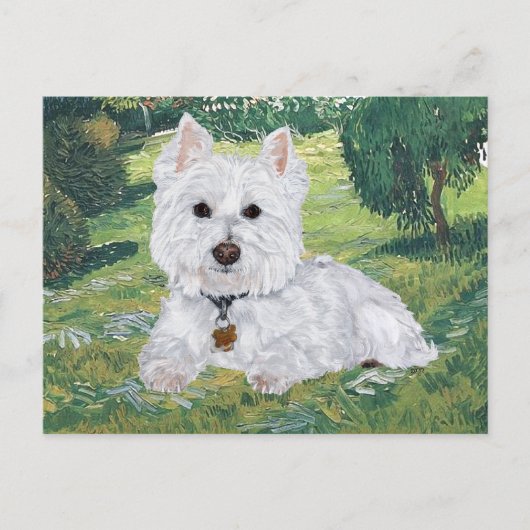Westie-Briefkaart Briefkaart (Voorkant)