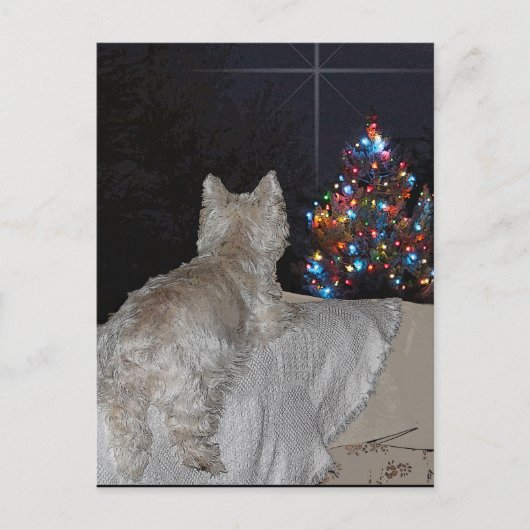 WESTIE CHRISTMAS AWE FEESTDAGENKAART (Voorkant)