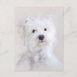 Westie Dog Portrait Briefkaart