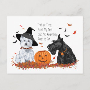 Westie en Scottie Halloween Feestdagenkaart