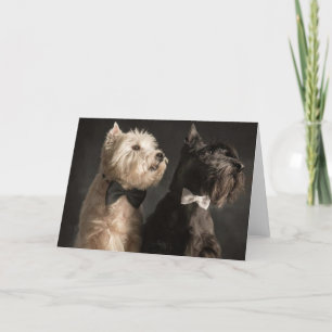 Westie en Scottie Kaart