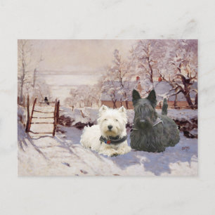 Westie en Scottie Winter Magpie Briefkaart
