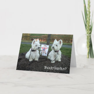 Westie enkel voor de Kaart van de Pret "zouden wij