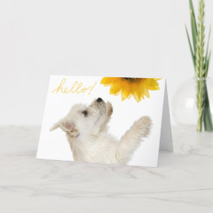 Westie Hallo Blank Notecard Kaart