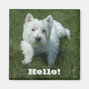 Westie Hallo Photo Magnet Magneet