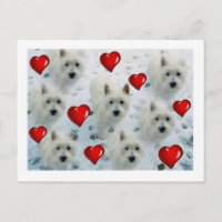 Westie hearts postcard thankyou, birthday, hello e