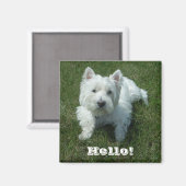 Westie Hello Photo Magnet (Recto/Verso)
