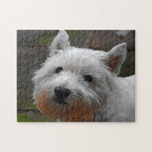 Westie Honden Puzzels. Legpuzzel