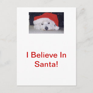 Westie in een kerstmuts feestdagenkaart
