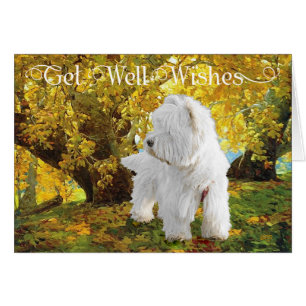 Westie in Golden Woods