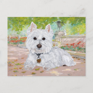 Westie in het park briefkaart