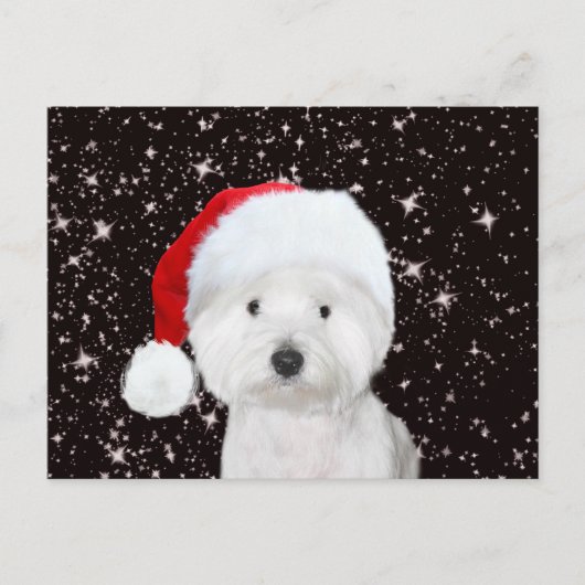Westie Kerstmis Briefkaart (Voorkant)