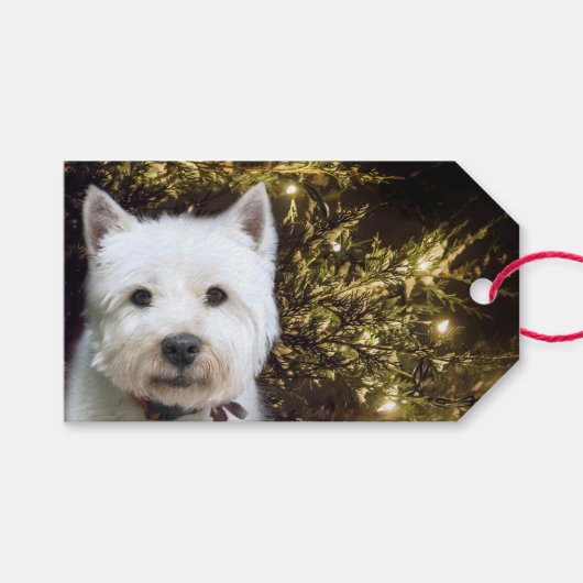 Westie Kerstmis Cadeaulabel (Voorkant (Horizontaal))