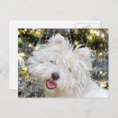 Westie Kerstmis Feestdagenkaart (Voorkant / Achterkant)
