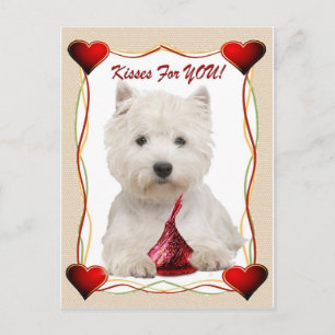 Westie Kisses voor jou Briefkaart