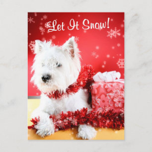 Westie laat het sneeuwen Groet #3 Feestdagenkaart