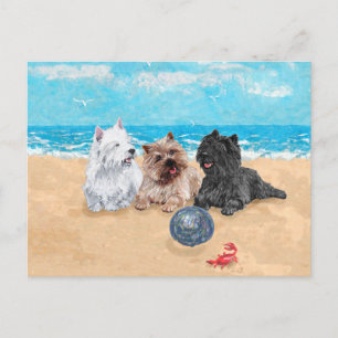 Westie met Cairn Terriërs op het Strand Briefkaart