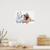 Westie met een bruine Caïro Terrier Poster (Keuken)