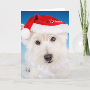 Westie met kerstmuts en baard feestdagen kaart