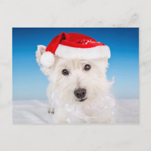Westie met Santa Hat en Bard Feestdagenkaart
