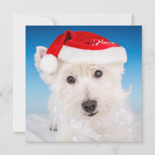 Westie met Santa Hat en Bard Feestdagenkaart