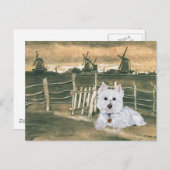 Westie met windmolens briefkaart (Voorkant / Achterkant)