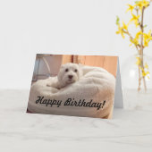Westie mignon dans la carte de joyeux anniversaire (Fleur jaune)