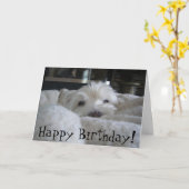 Westie mignon font face à la carte de voeux de (Fleur jaune)