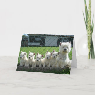 Westie-moeder en puppy's kaart