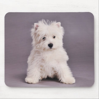 Westie mousepad muismat