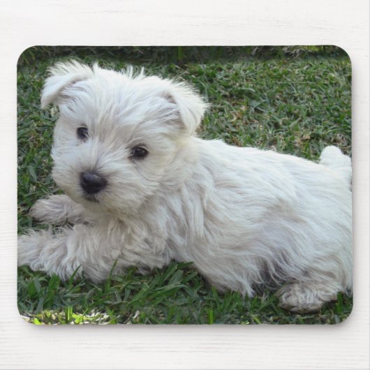 Westie Muismat (Voorkant)