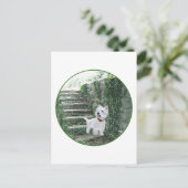 Westie op de Ivy Steps Briefkaart (Staand voorkant)