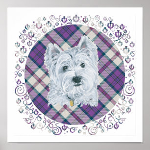 Westie op Tartan Poster