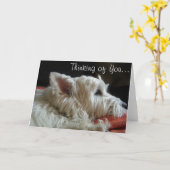 Westie pensant à vous carte de voeux de photo (Fleur jaune)