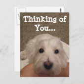 Westie Penser à vous Carte postale photo (Devant / Derrière)